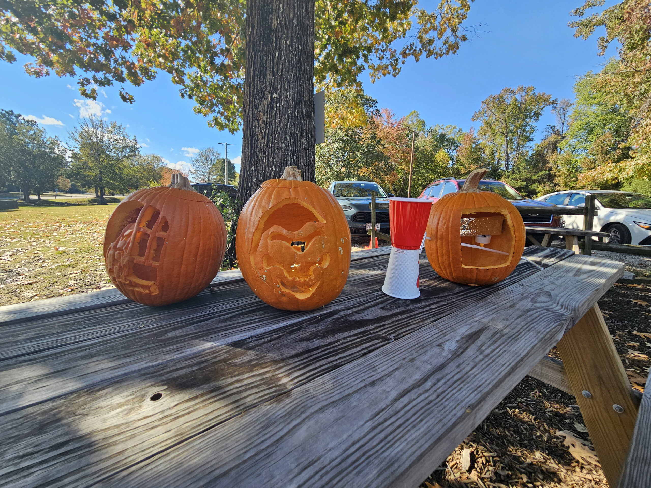 carved pumpkins